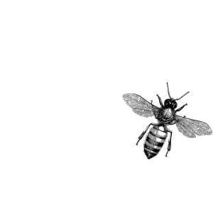 Local-Honey-Trove-Logo-white-Blk-bee