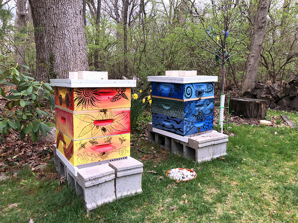 local-honey-trove-locally-sourced-honey-illinois-Backyard-hives
